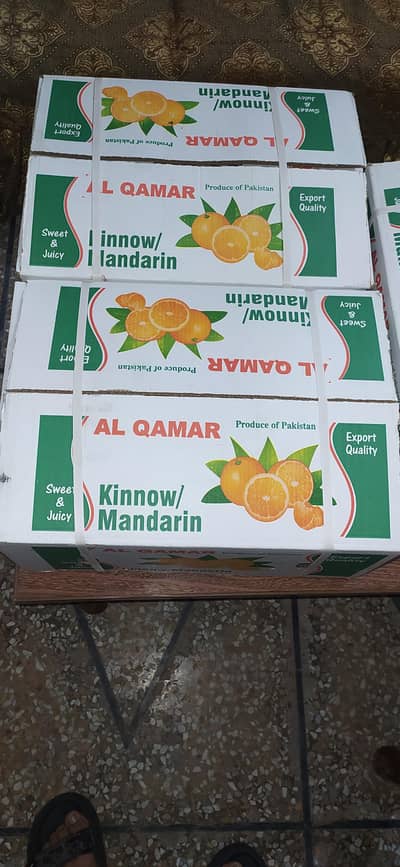 Orange  export Quality all of the world