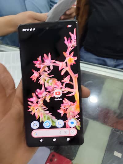 gogal pick 6 full ok candishan 10.10