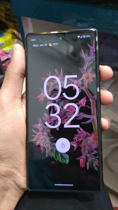 Google Pixel 6 Ptch Approved