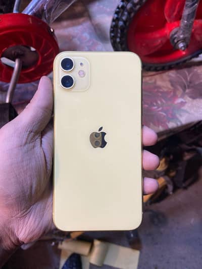 iphone 11 pta aprovd