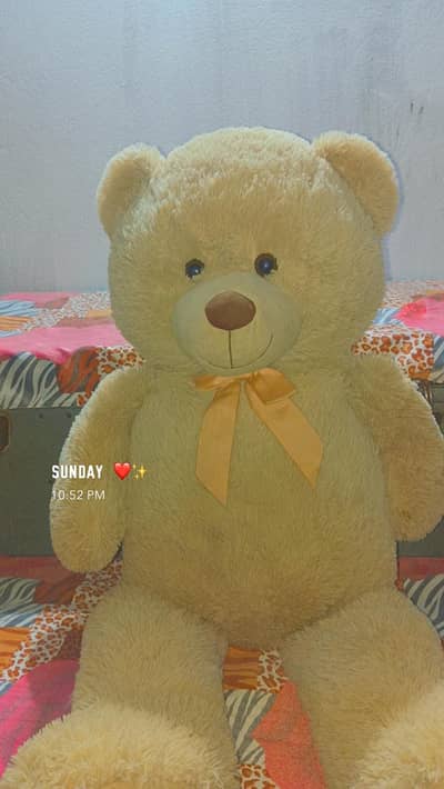 Teddy  bear big size