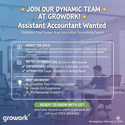 Assistant Accountant Job