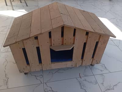 cat house