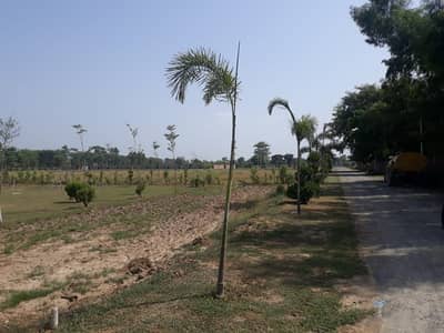 Buying A Residential Plot In Lahore Organic Farms?