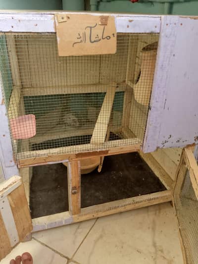 best woden cage for parrot