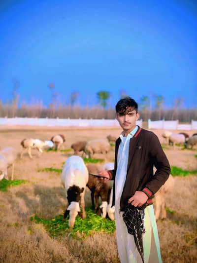 Zeeshan khan
