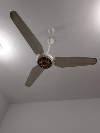 ceiling fan
