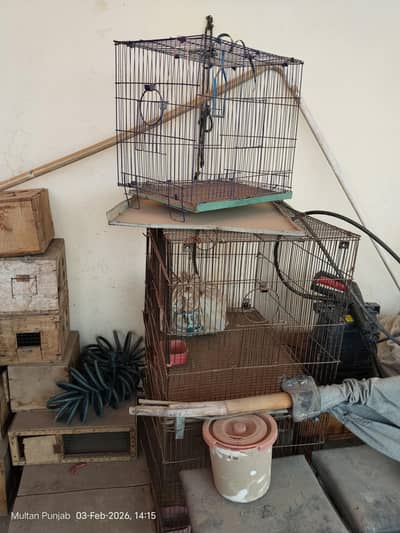 parrot cage