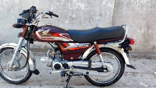 union star 70 2025 special edition