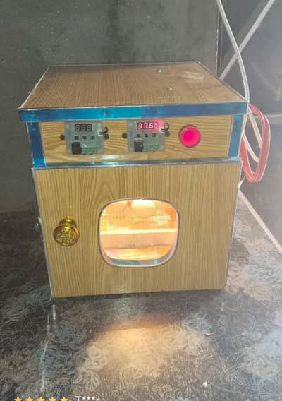 30-Egg Automatic Incubator | Dual Power 12V/220V | Reptile & Poultry