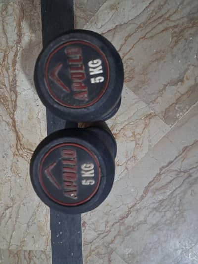 Apollo branded dumbbells