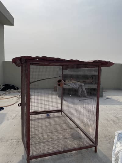 Birds cage for sale