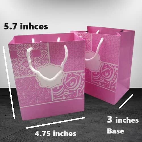 Pink Gift Bags, 4.75 x 5.7 inches (base 3 inches) Kraft Paper Bags with Handles – Bulk Pack for Gifts, Party Favors, and Small Items