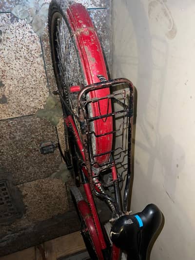 bicycle ( phone no:03211249558)