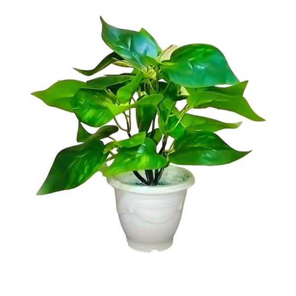 Artificial Plant with Pot for Room Decor, 11 Inches High, Imported Quality