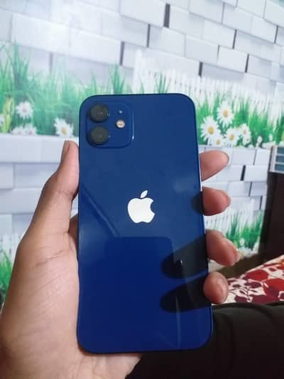 I phone 12