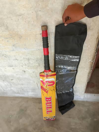 Bull Bat with cover