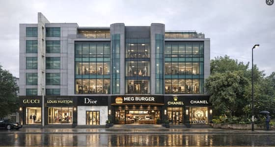 F7 Best Rental Value Plaza for Sale 32000 sqft covered area Rent coming 2 Crore