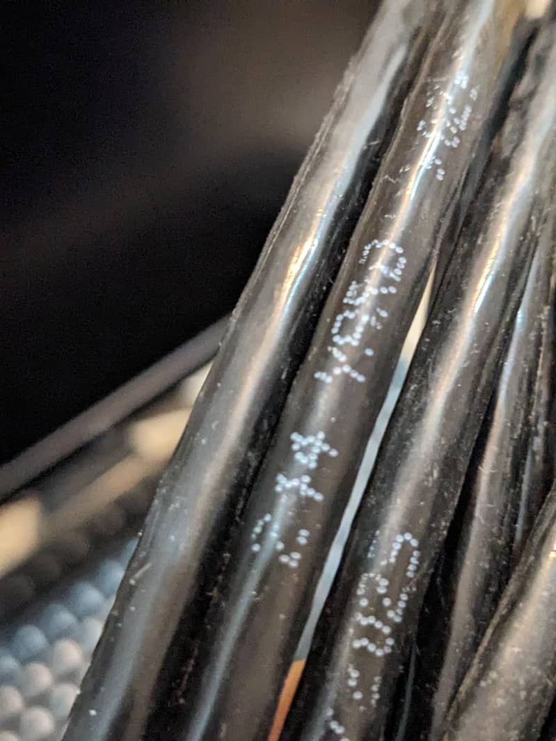 60ft CAT5 Ethernet Cable 1