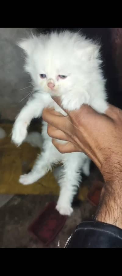 4 bybe hy  long hair