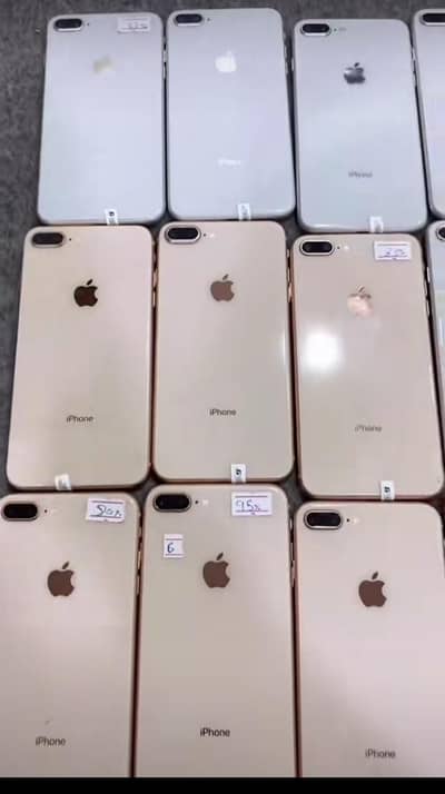 8 plus stock available only Rs. 9000 free delivery