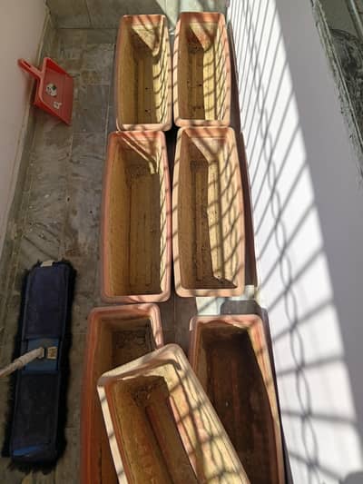 plants pot ( kiari )