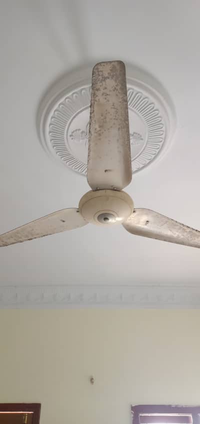 Used sealing fans han