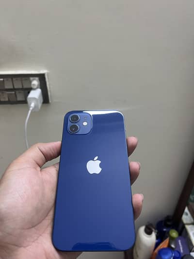 iPhone 12 pts approved