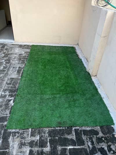 article grass ka piece 10 feet 5 feet