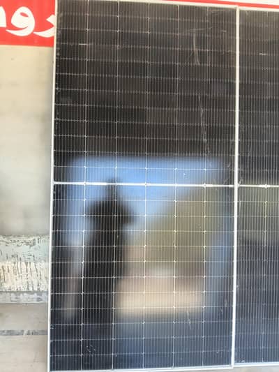 DAMING solar 545 available in holsale price