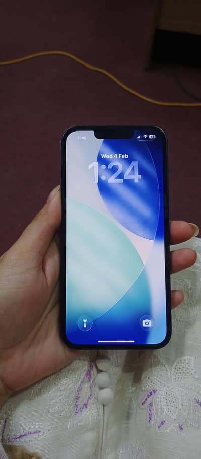 Iphone 13 Dual PTA Approved