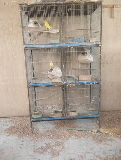 cages for sale