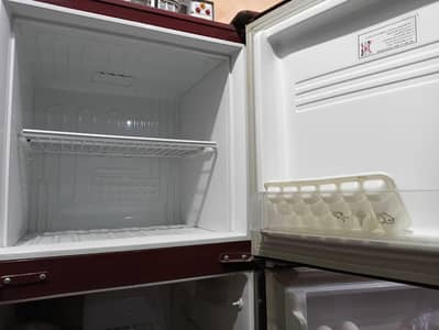 Pel Medium Size Good condition