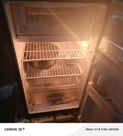 Pel small size fridge