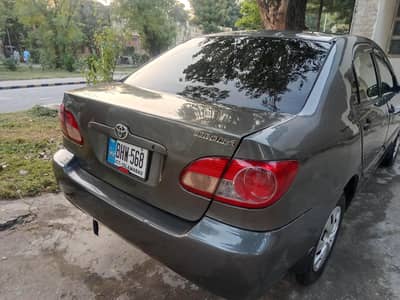 good condessen 03325299543