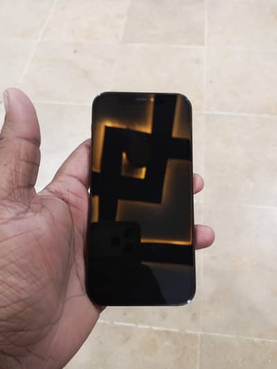 iphone 12 pro pta approved