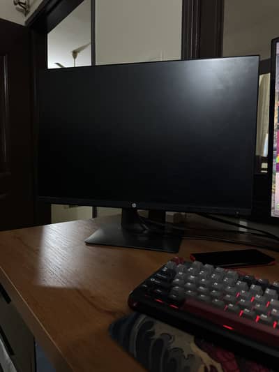 HP Z24n Monitor (IPS)