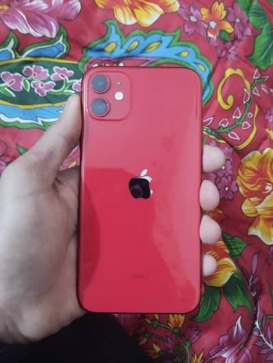 iPhone 11 10\10 lush condition LLA model 03110144020