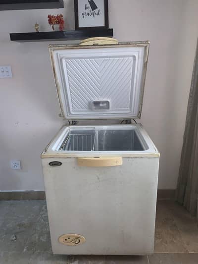 Single Door Deep Freezer  Used