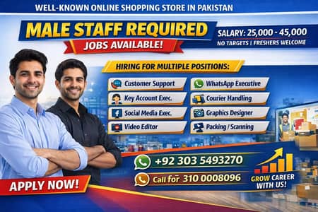 Customer Support Executive