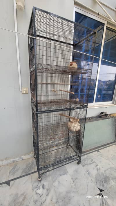 CAGE TOWER FOR BIRDS