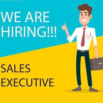 Sales Executive