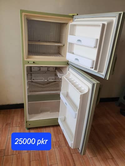 Small size freg for sale