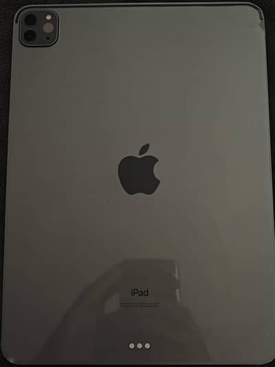 Ipad pro 11 Inch 2nd gen 2020/ 256gb