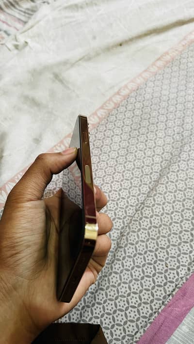 Golden colour 13 pro max