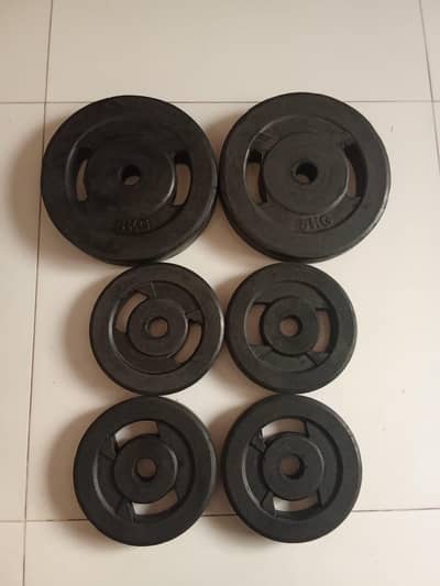 Authentic rubber coated gym plates