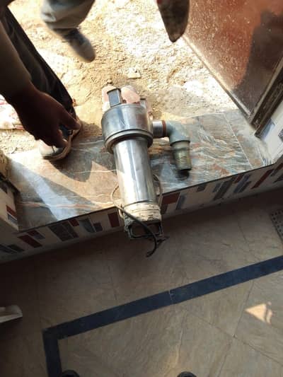 pamp dood Wala japani  03008615047