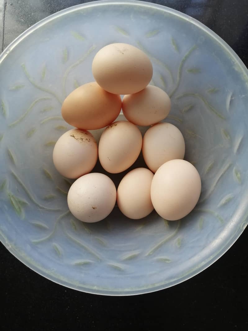 Desi Eggs 1