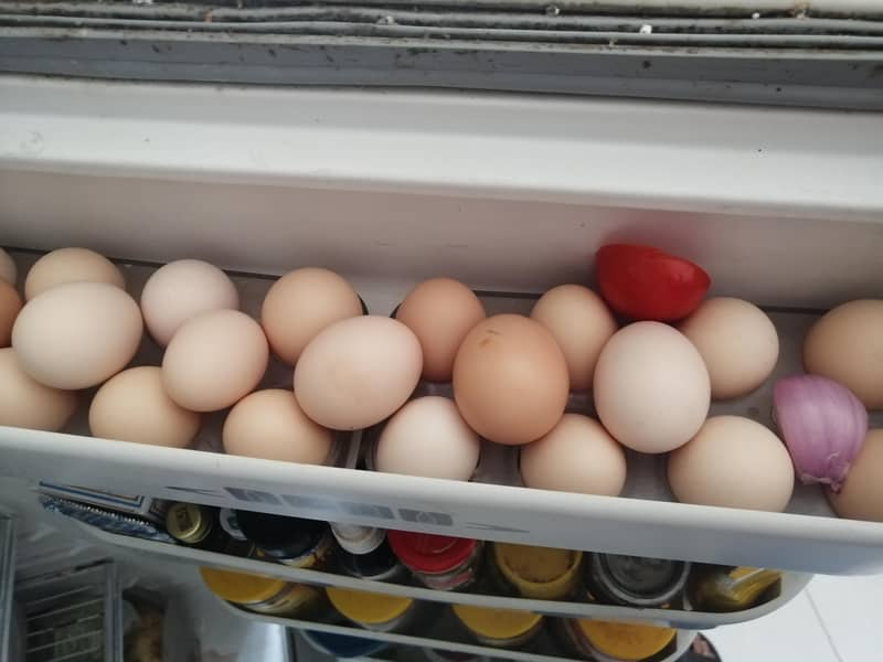 Desi Eggs 2