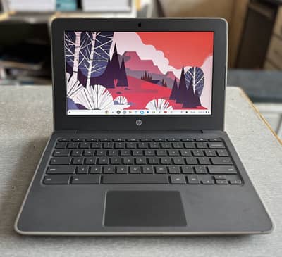 Hp Chromebook
